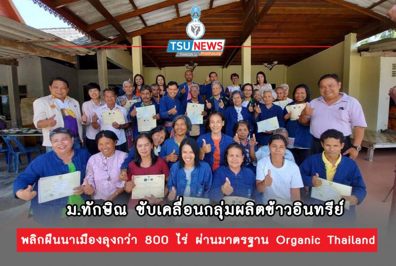 ม.ทักษิณ ขับเคลื่อนกลุ่มผลิตข้าวอินทรีย์  พลิกผืนนาเมืองลุงกว่า 800 ไร่ ผ่านมาตรฐาน Organic Thailand