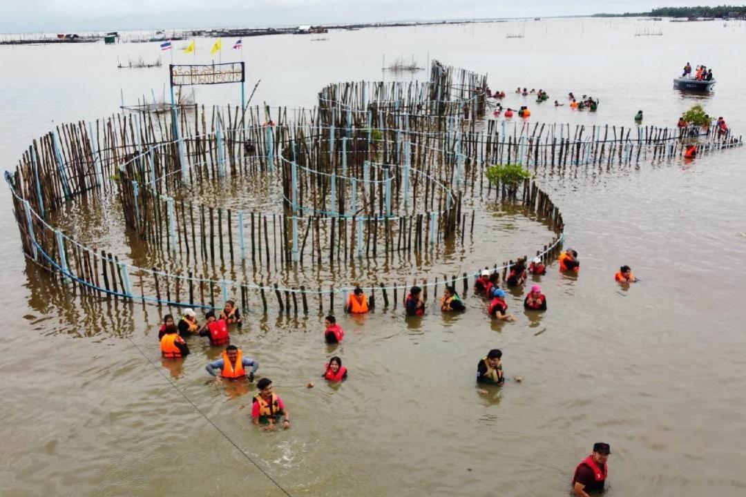 มหาวิทยาลัยทักษิณ สานพลัง ๙ เครือข่าย ฟื้นฟูบ้านปลาหมายเลข ๙