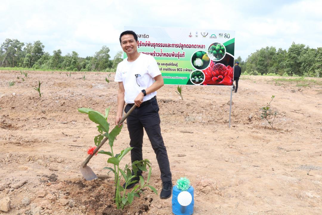 ม.ทักษิณ มุ่งอนุรักษ์พันธุกรรมดอกดาหลา ส้มจุก และมะพร้าวน้ำหอมพันธุ์แท้ เพื่อยกระดับเป็นพืชเศรษฐกิจ ภายใต้ระบบ BCG จังหวัดพัทลุง