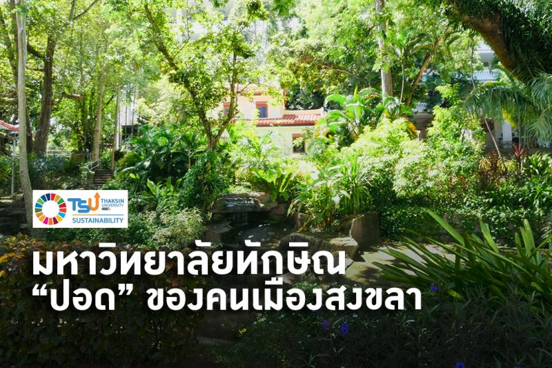 มหาวิทยาลัยทักษิณ - ปอด - ของคนเมืองสงขลา