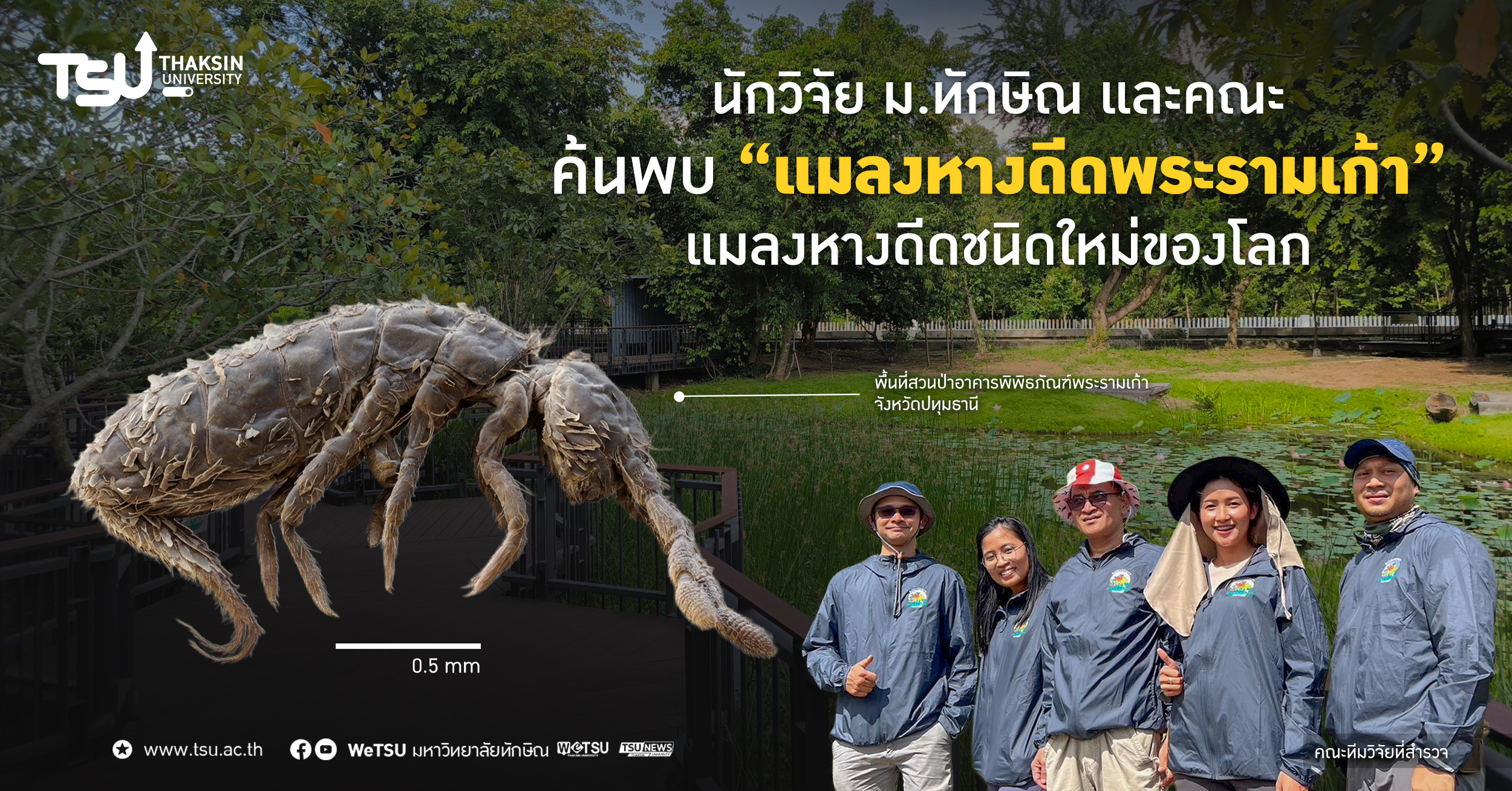 นักวิจัย ม.ทักษิณ และคณะ ค้นพบ แมลงหางดีดพระรามเก้า แมลงหางดีดชนิดใหม่ของโลก