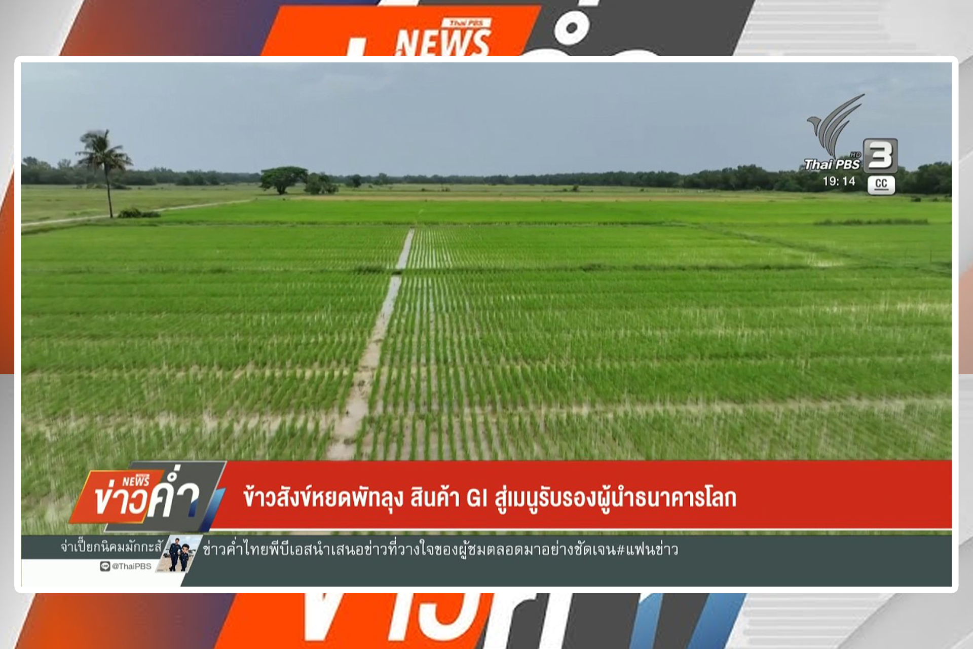 ข้าวสังข์หยดพัทลุง สินค้า GI สู่เมนูรับรองผู้นำธนาคารโลก