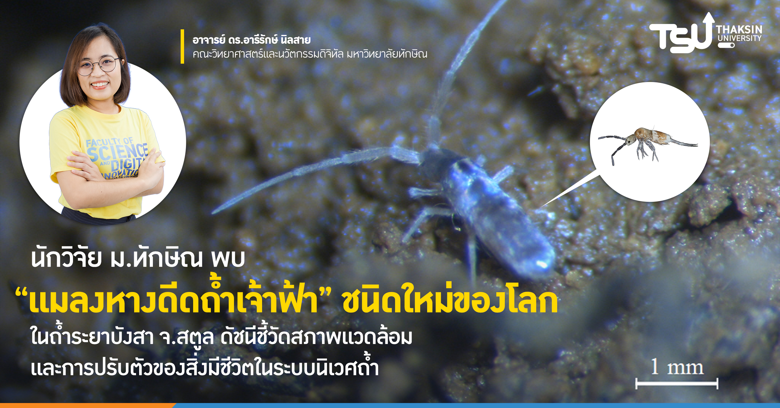 นักวิจัย ม.ทักษิณ พบ แมลงหางดีดถ้ำเจ้าฟ้า ชนิดใหม่ของโลก ในถ้ำระยาบังสา จ.สตูล  ดัชนีชี้วัดสภาพแวดล้อมและการปรับตัวของสิ่งมีชีวิตในระบบนิเวศถ้ำ