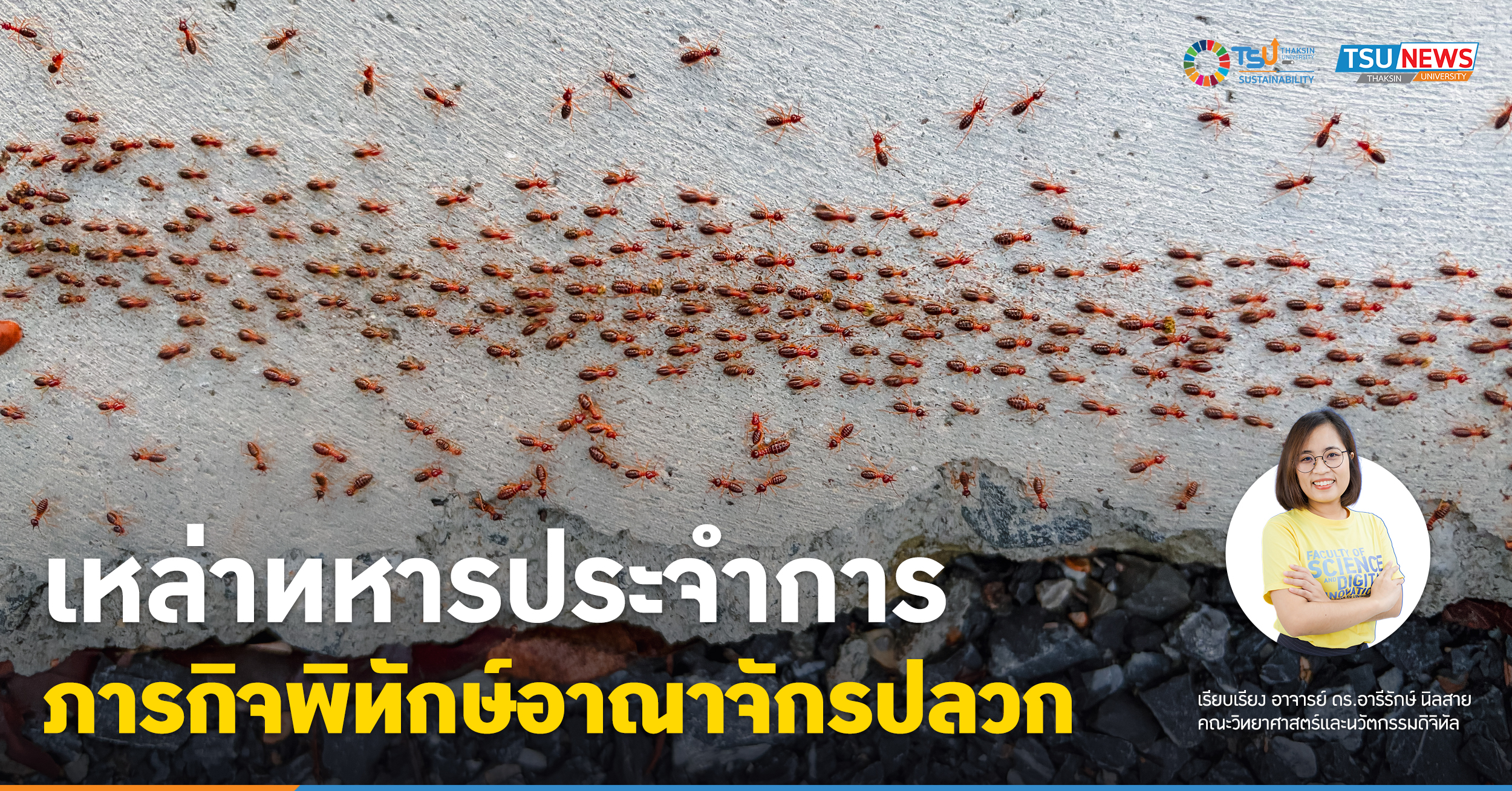 เหล่าทหารประจำการ ภารกิจพิทักษ์อาณาจักรปลวก