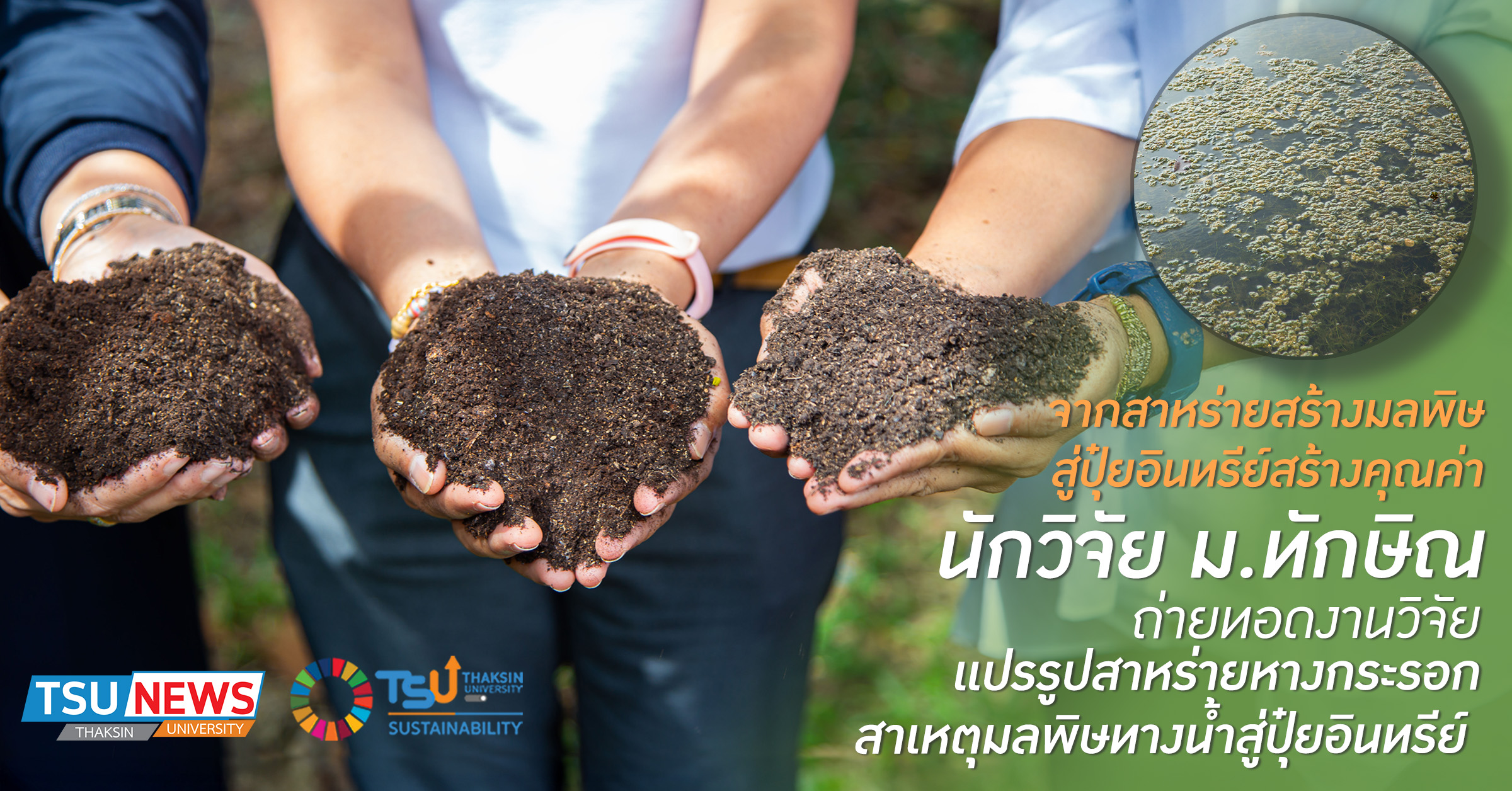 จากสาหร่ายสร้างมลพิษ สู่ปุ๋ยอินทรีย์สร้างคุณค่า  นักวิจัย ม.ทักษิณ ถ่ายทอดงานวิจัย แปรรูปสาหร่ายหางกระรอก สาเหตุมลพิษทางน้ำสู่ปุ๋ยอินทรีย์