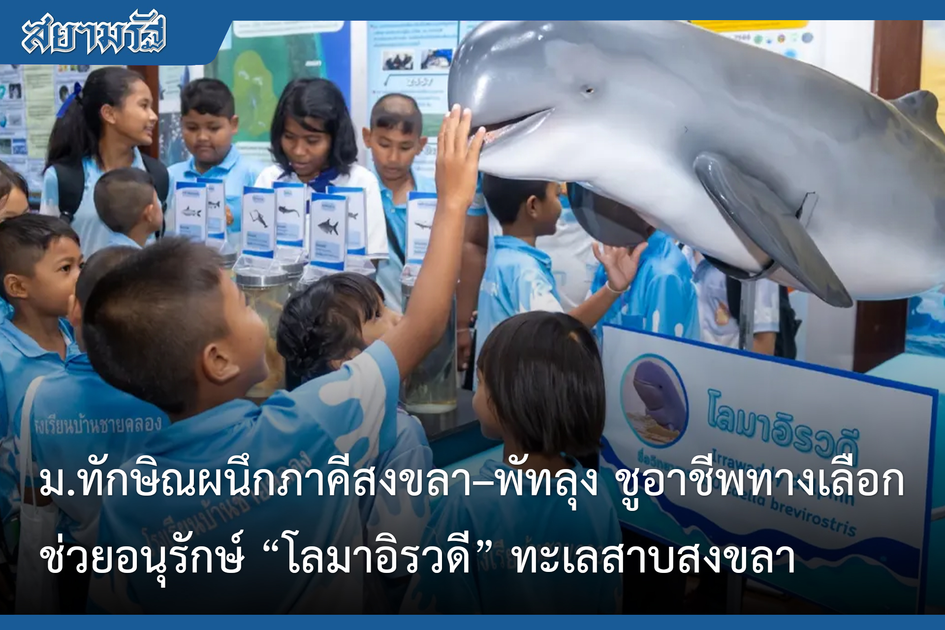 ม.ทักษิณผนึกภาคีสงขลา พัทลุง ชูอาชีพทางเลือก ช่วยอนุรักษ์ โลมาอิรวดี ทะเลสาบสงขลา